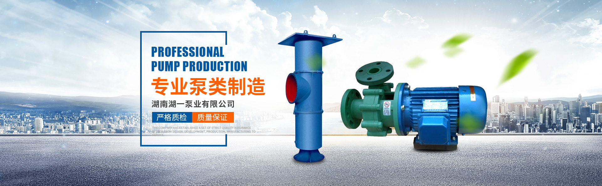 湖南工業蒸汽鍋爐給水泵|S型單級雙吸水平中開式離心泵_湖南湖一泵業有限公司
